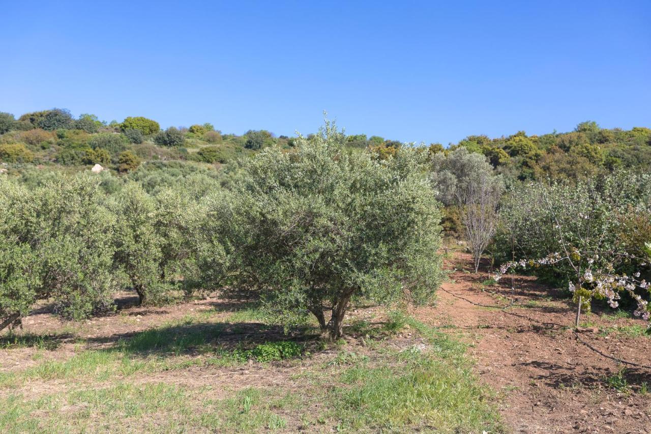 הוילה Eden'S Garden Skouloúfia מראה חיצוני תמונה