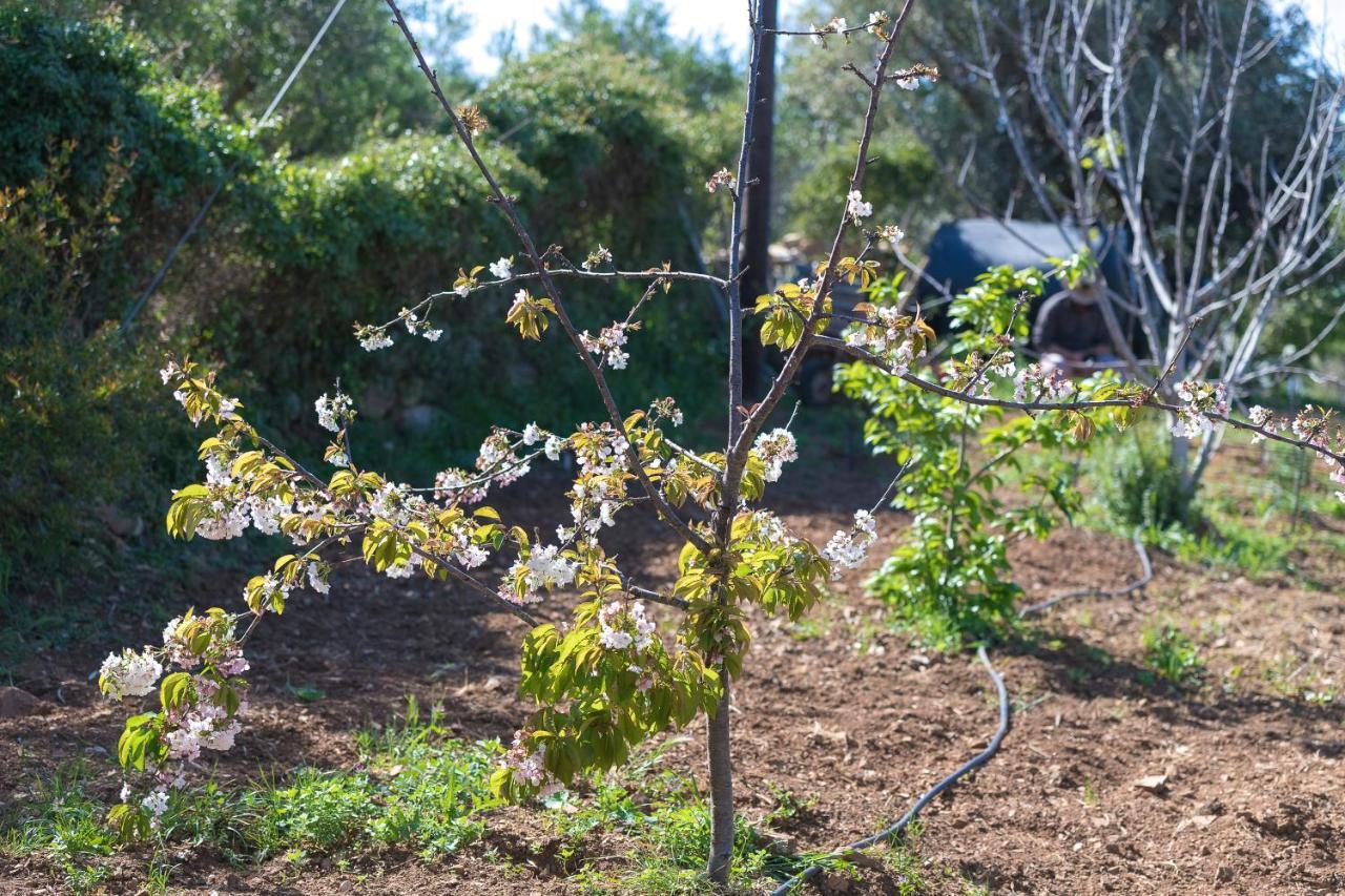 הוילה Eden'S Garden Skouloúfia מראה חיצוני תמונה